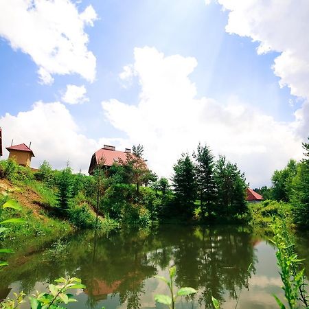 Villa Buhiv Skhidnytsia エクステリア 写真