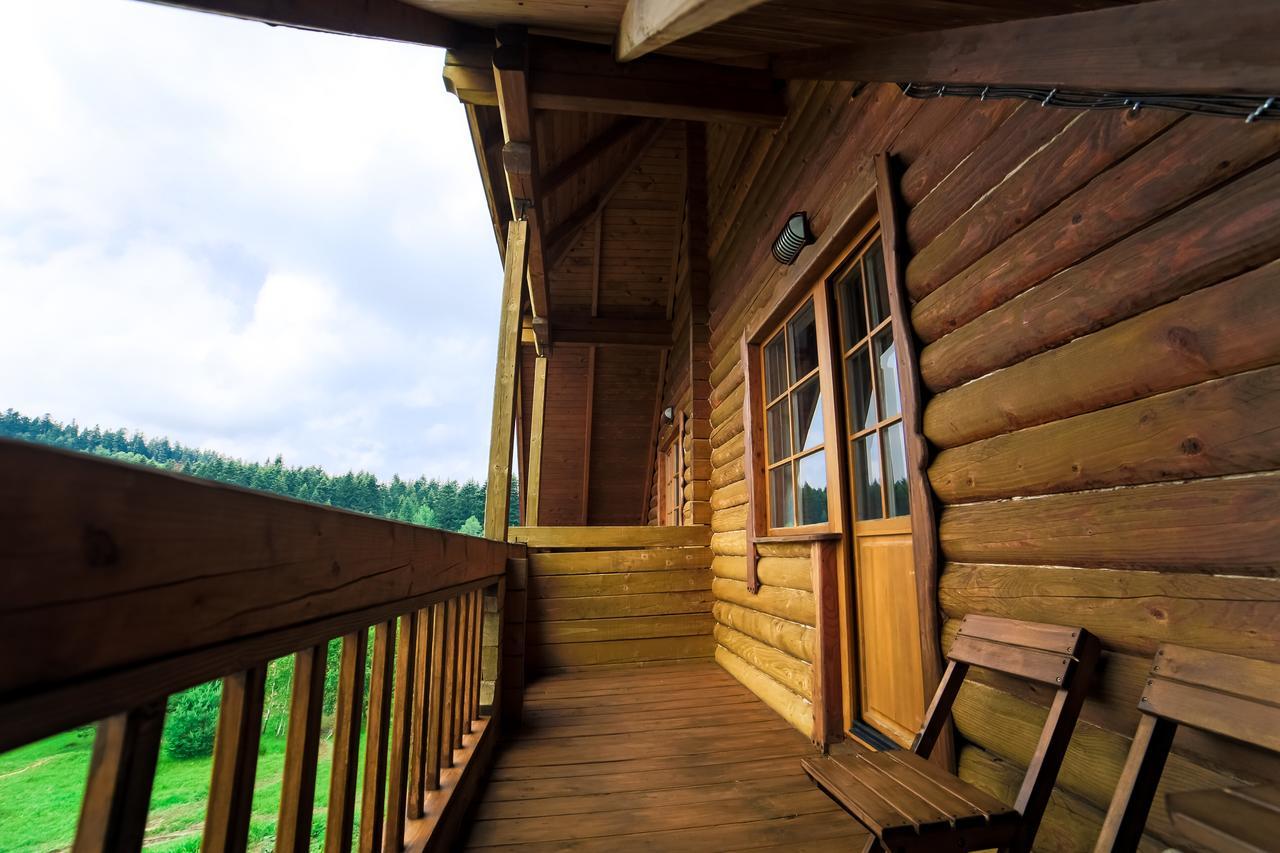 Villa Buhiv Skhidnytsia エクステリア 写真