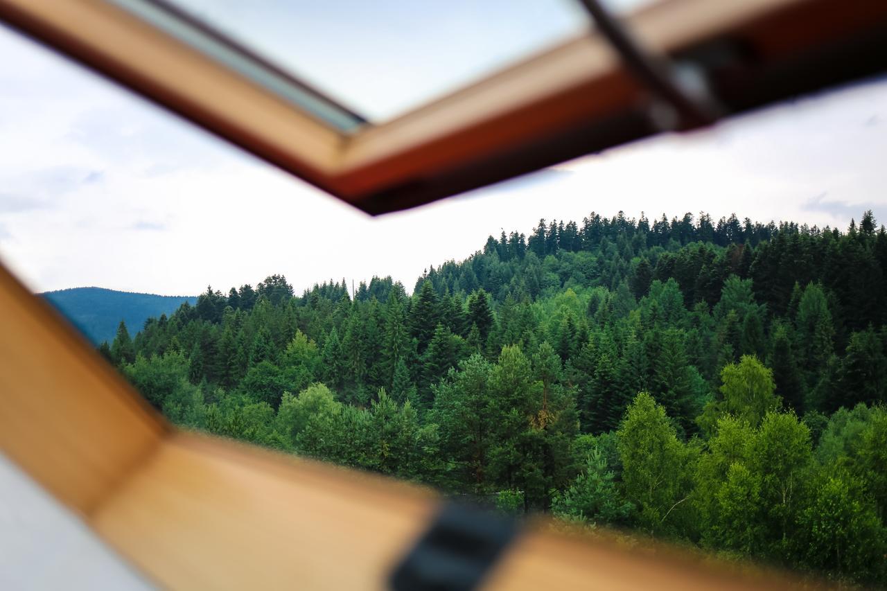 Villa Buhiv Skhidnytsia エクステリア 写真