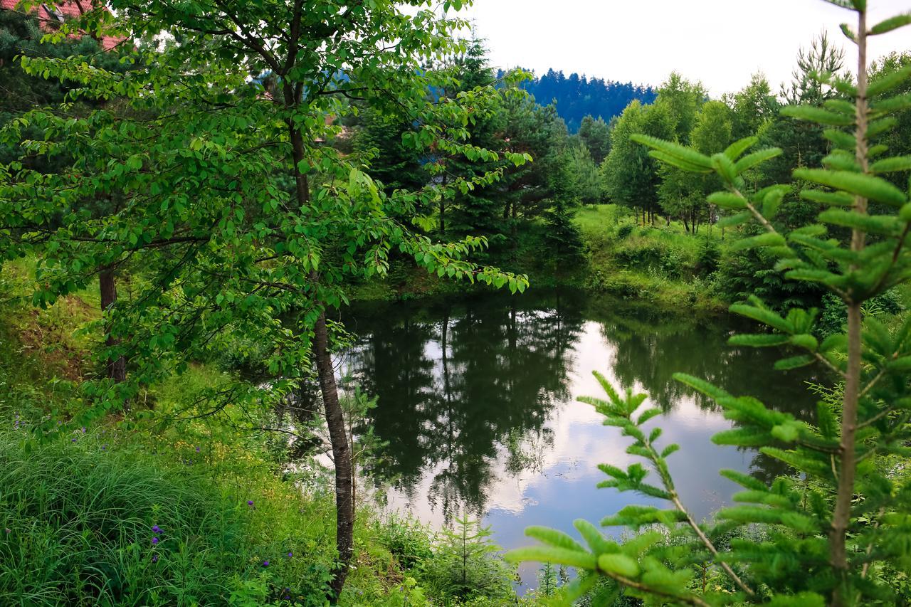 Villa Buhiv Skhidnytsia エクステリア 写真