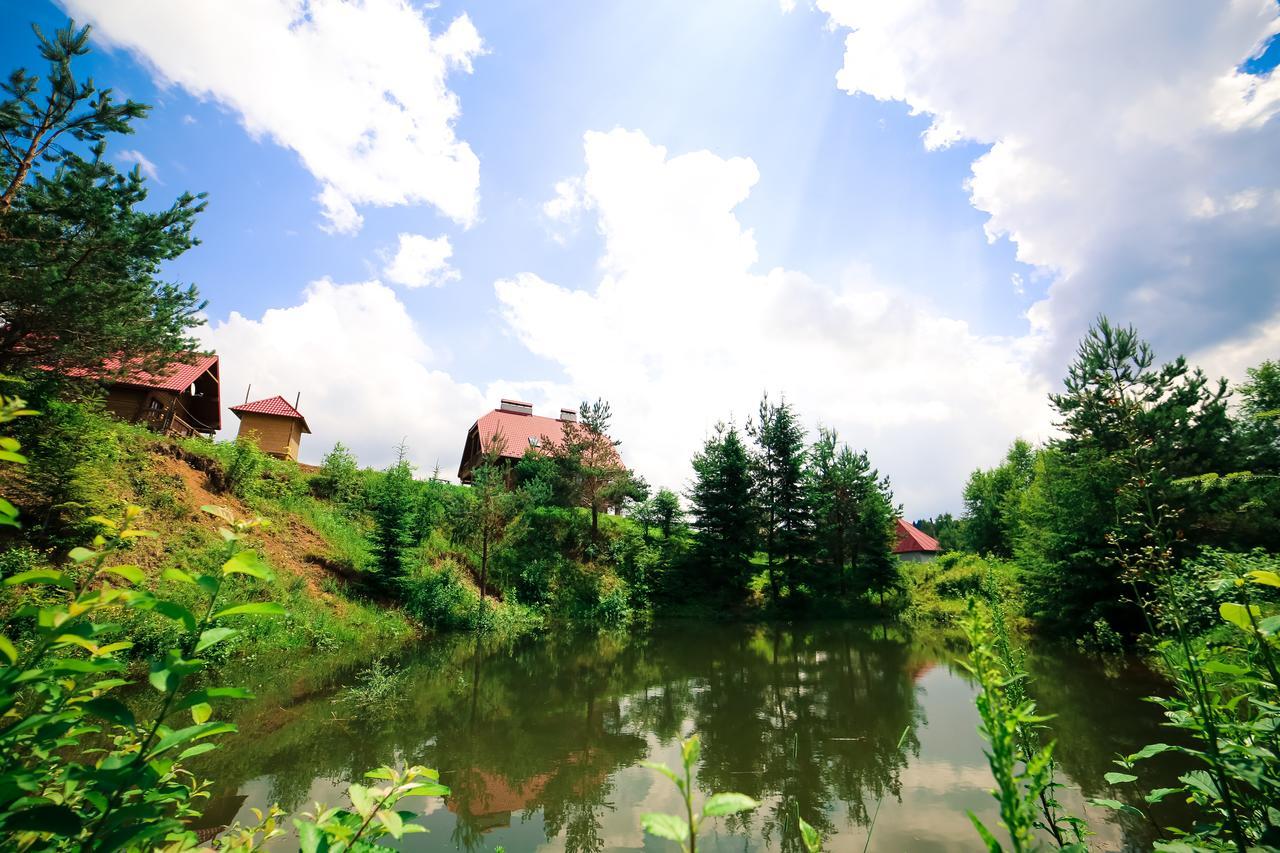 Villa Buhiv Skhidnytsia エクステリア 写真